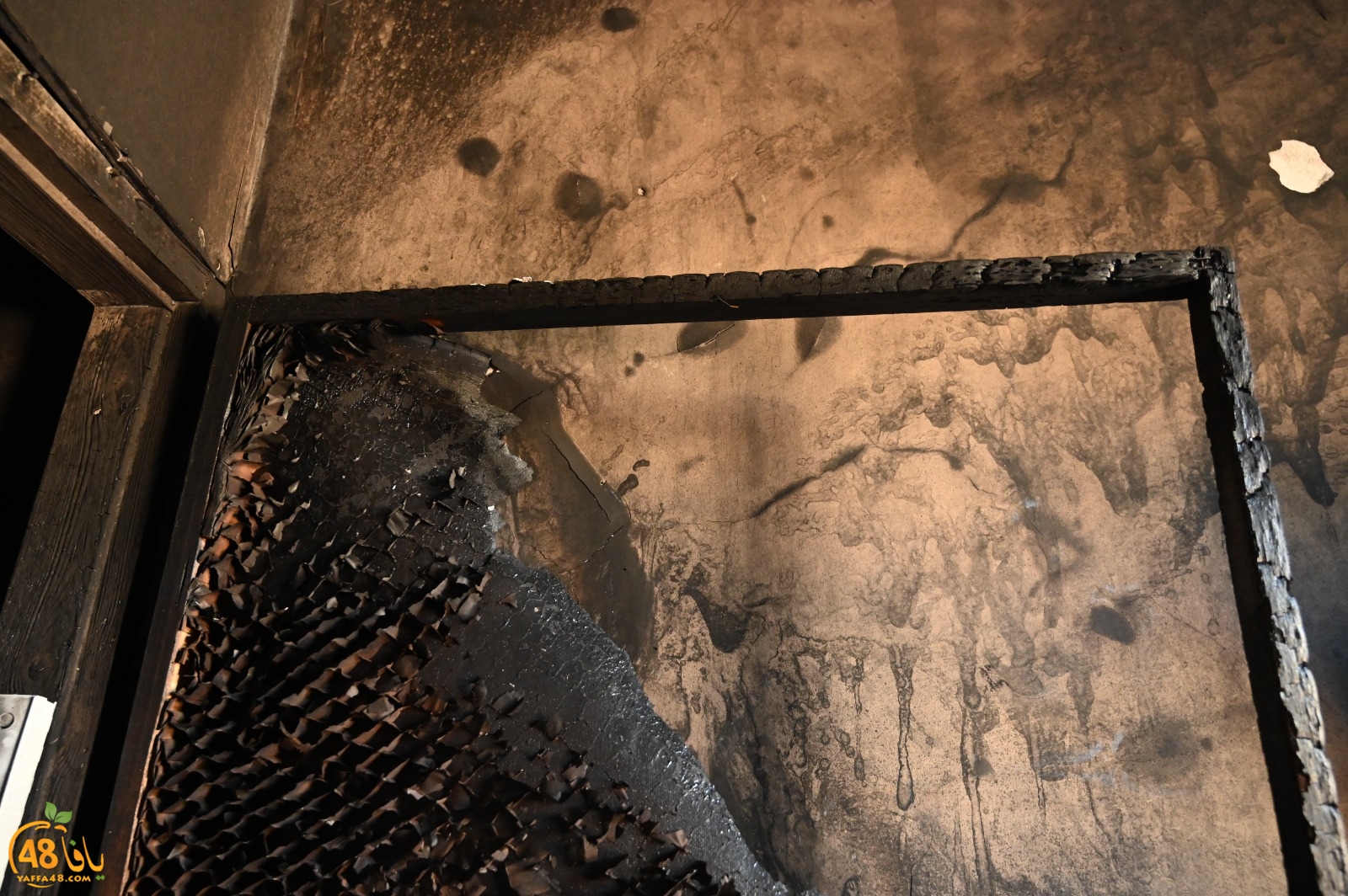 WhatsApp Image 2023-08-03 at 6.57.26 PM (1).jpeg